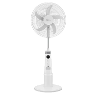 Fans