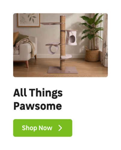 All things pawsome |Desktop right image