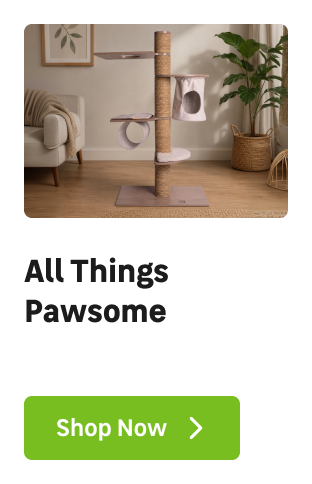  All things pawsome | Mobile right image