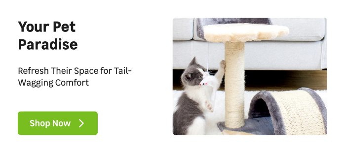 Light up |Desktop top image