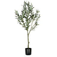 Plants Plants