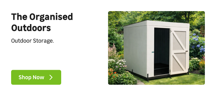 Couch |Desktop top image